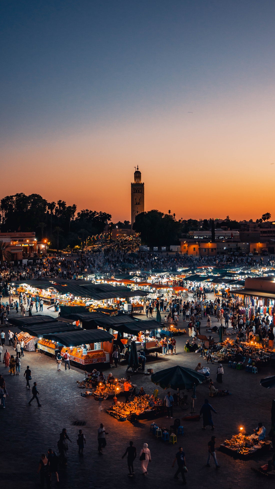 Jemma el Fna à la nuit tombée - Marrakech - Maroc 